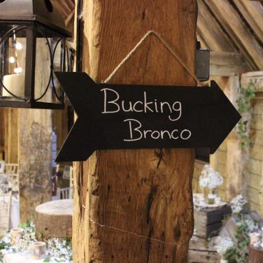 Bucking Bronco Arrow