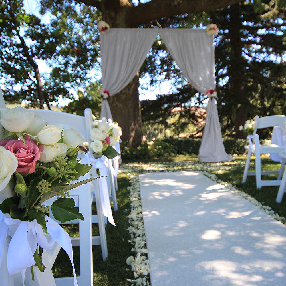 Simple Chiffon Arch 1