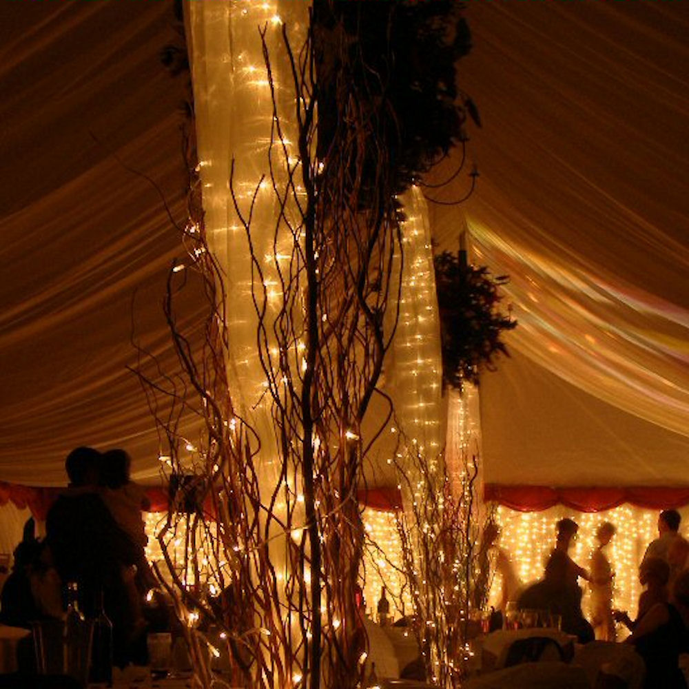 LED Battery Fairy Lights 9
