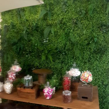 boxwood box hedge, foliage, green backdrop