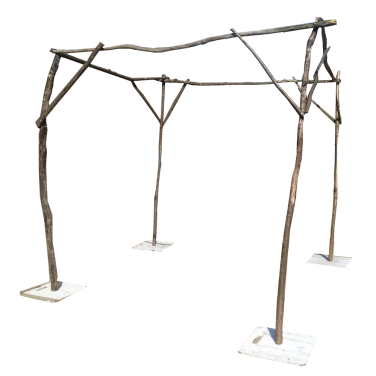Stick Branch Twig Chuppah