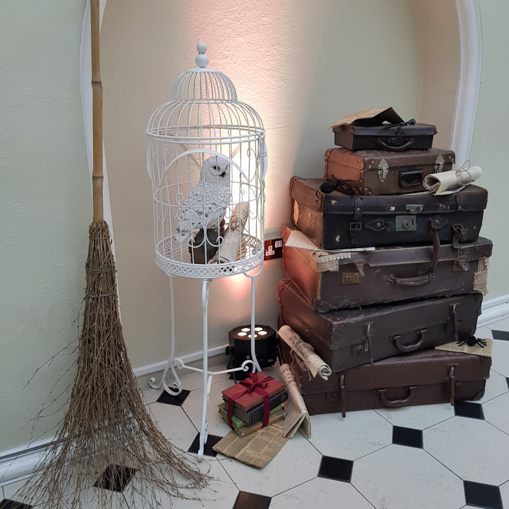 Vintage Trunk/Suitcase Hire - Image 6