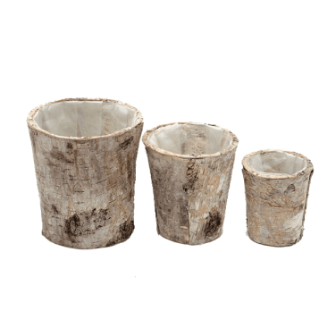 Rustic Bark Vases / Containers