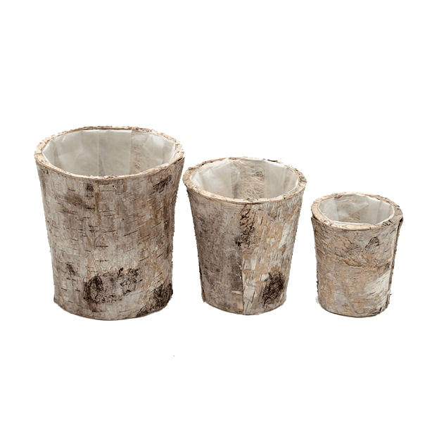 Rustic Bark Vases / Containers