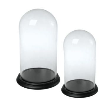 Bell Cloche Dome Jars