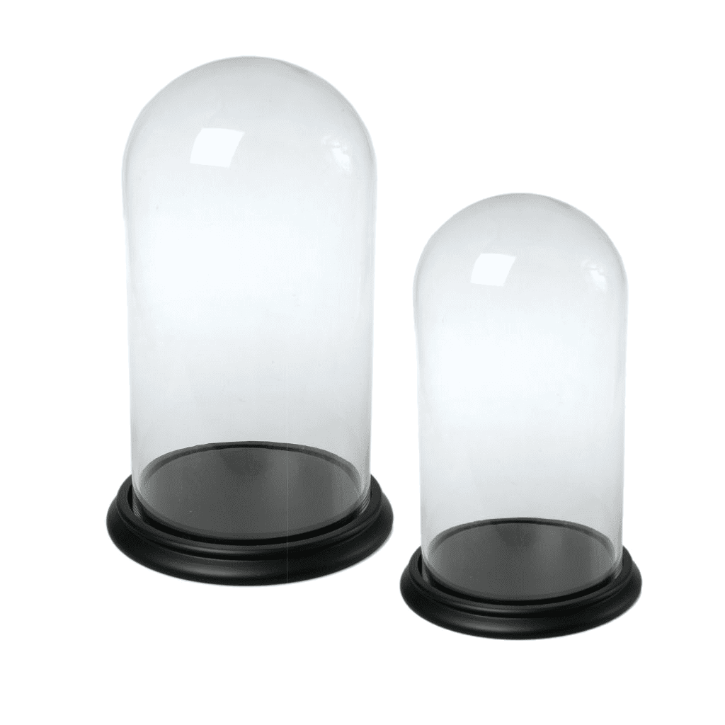 Bell Cloche Dome Jars