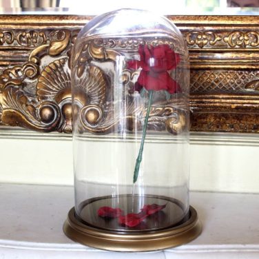 Beauty & The Beast Floating Rose Bell Jar Dome Chloche Centrepiece