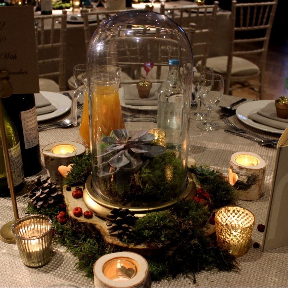 Bell Cloche Jar with Moss