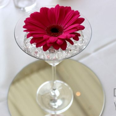 Martini Glass with Cerise Gerbera