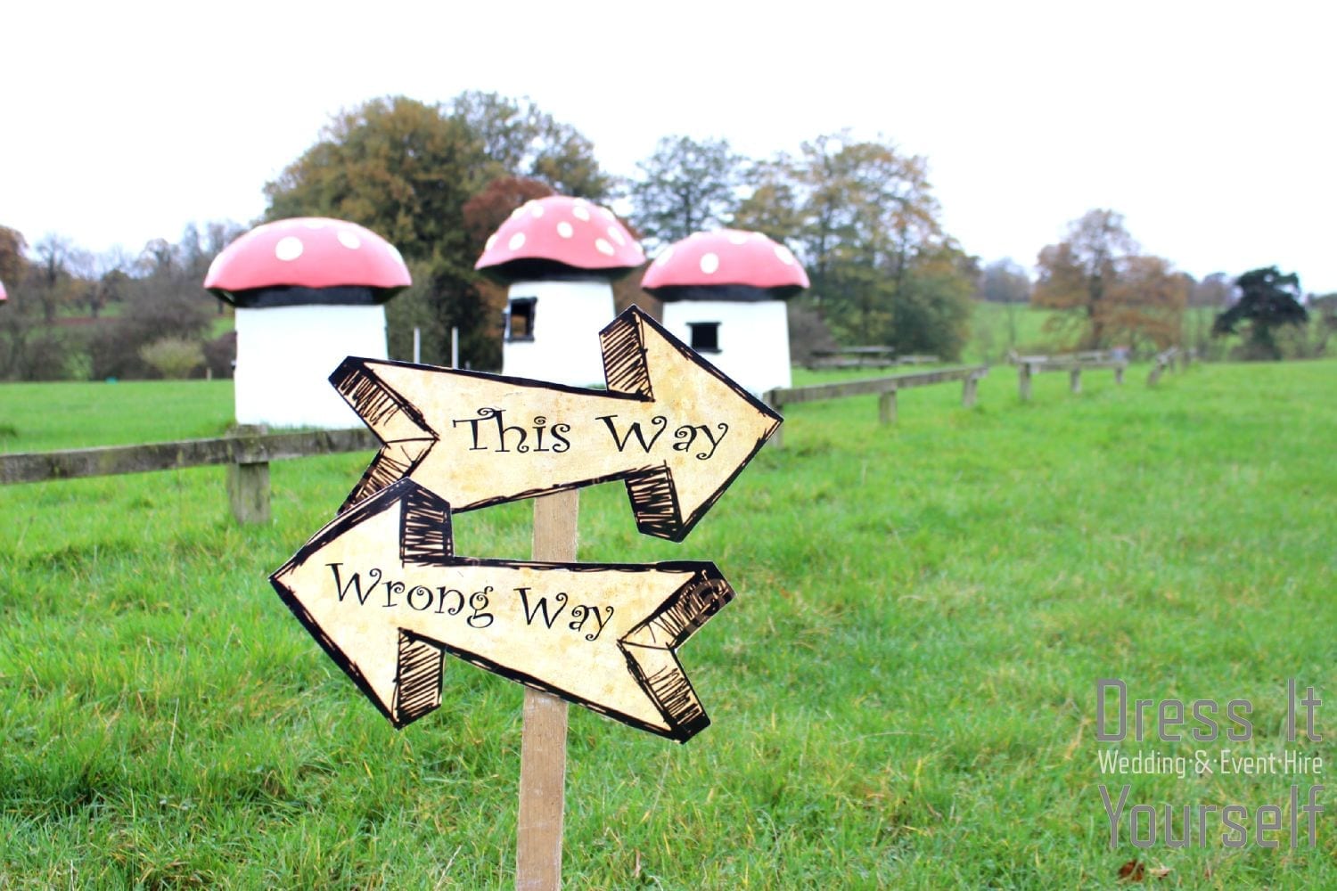 Alice in Wonderland Arrow Hire - Image 2