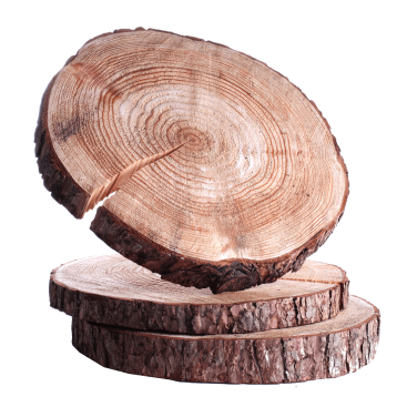 Log / Wood Slice Hire