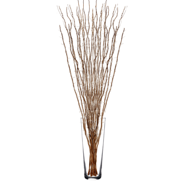 Twigs Willow with Fairy Lights
