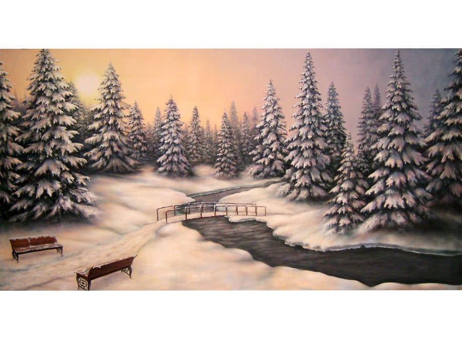 Winter Scene Backdrop