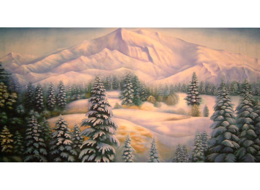 Winter Scene 1 Backdrop