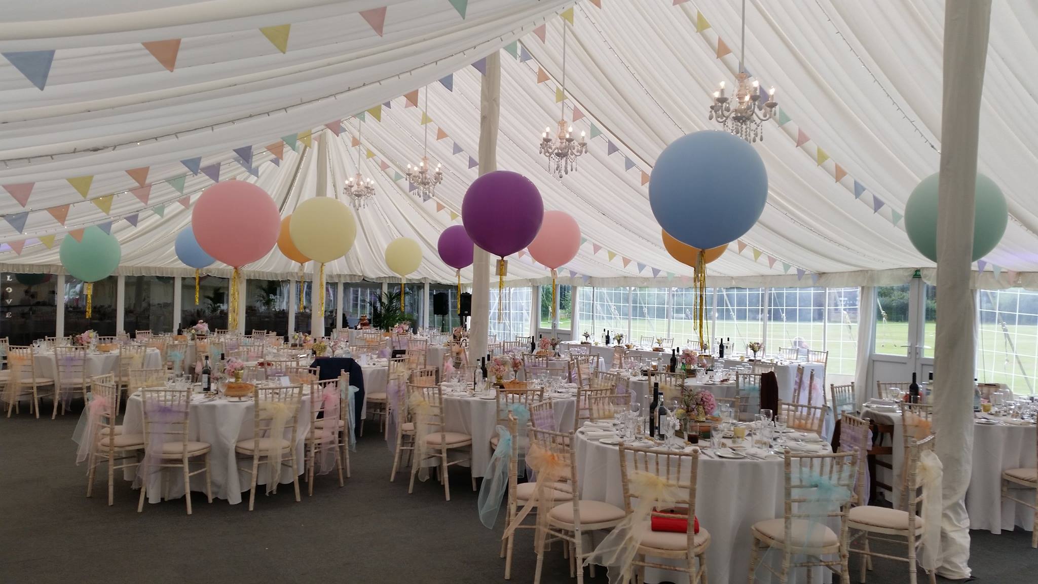 Shenley Bunting