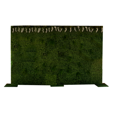 Boxwood Hedge, Foliage, Green Backdrop