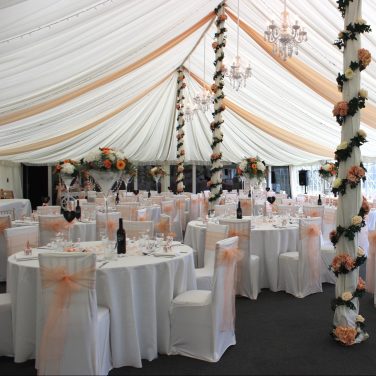 Shenley Summer Marquee Peach Ceiling drapes in lines