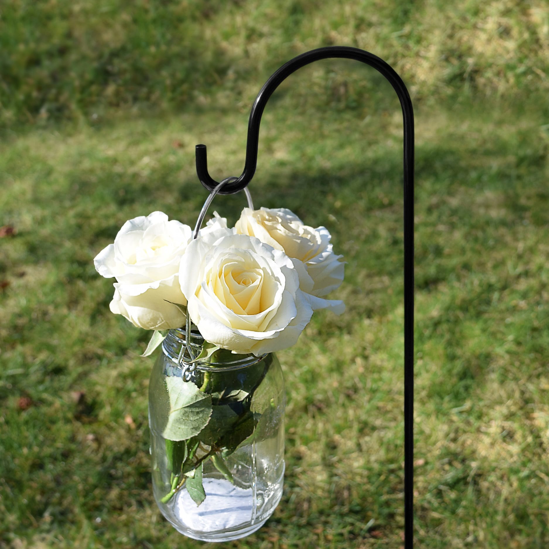 Shepherds Hooks Crooks