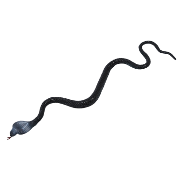 Black Rubber Snake