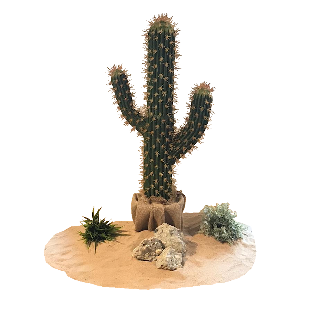 Desert Cactus Centrepiece
