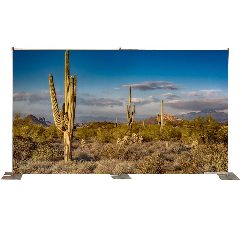Desert Cactus Backdrop 6x3