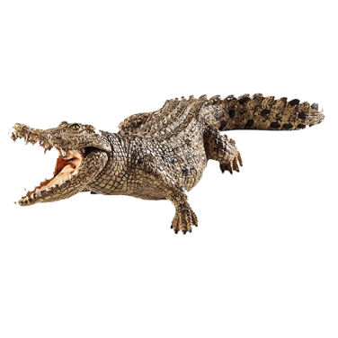 Model Crocodile