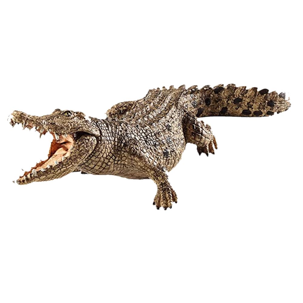 Model Crocodile