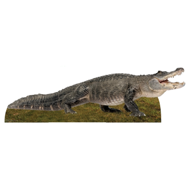 Crocodile Cardboard Cut Out 58cm x 1.93m