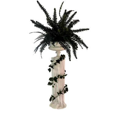 Collumn with White Urn, Fern & Ivy