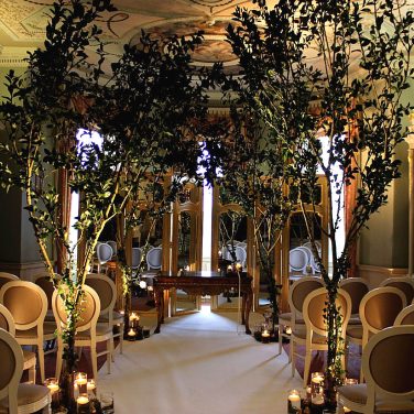 Woodland, Forest, Secret Garden, Midsummer Nights Dream