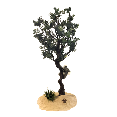 Oz Eucalyptus Tree with Koala