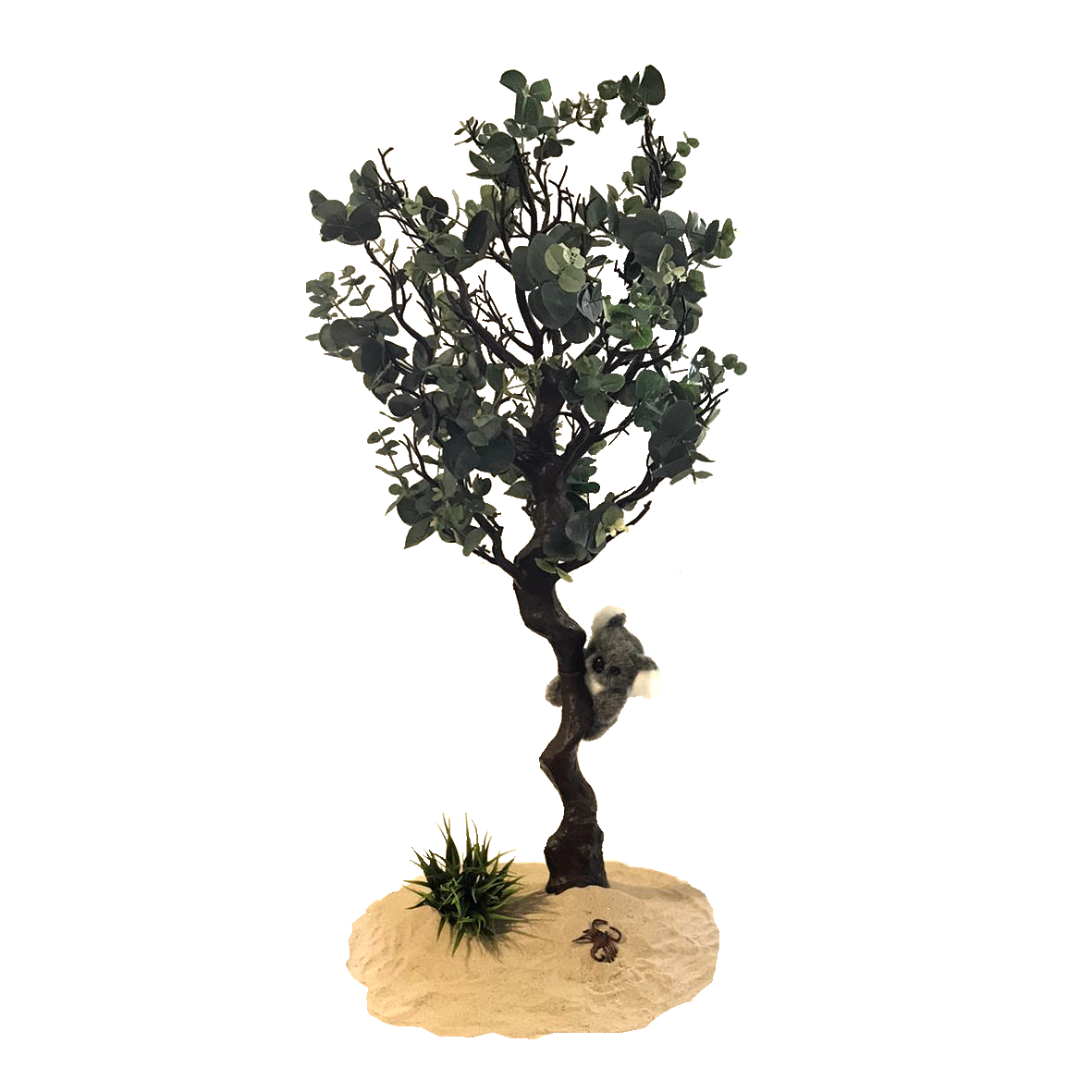 Oz Eucalyptus Tree with Koala