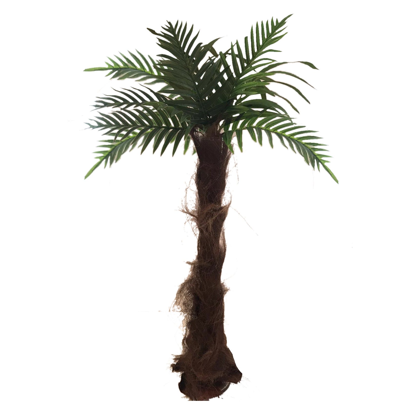 Palm Tree Centrepiece
