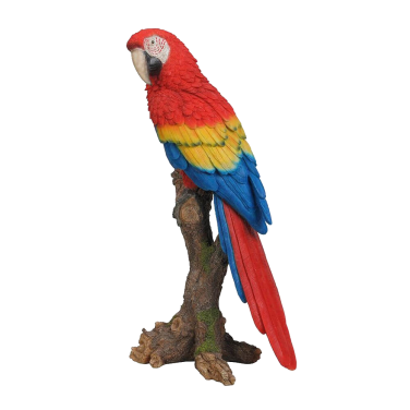 Red Macaw Parot
