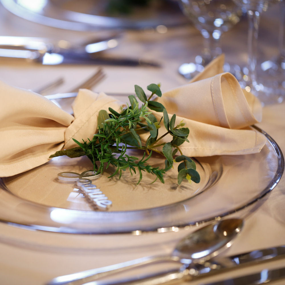 Silver Rimmed Charger Plate Hire - Image 3