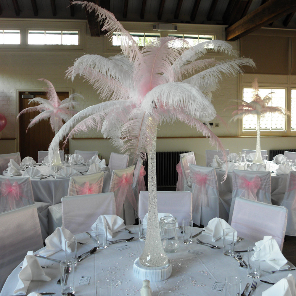 Coloured Feather Centrepiece Baby Pink & White