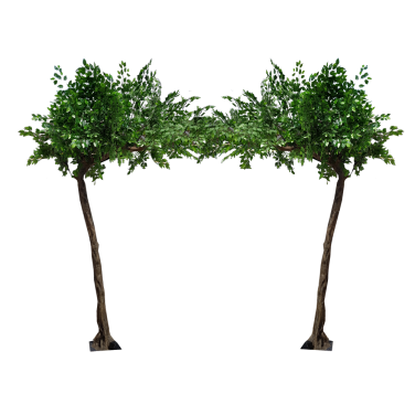 Bent Green Tree Canopy Arch