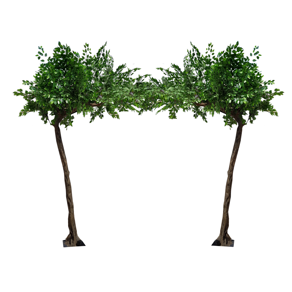 Bent Green Tree Canopy Arch