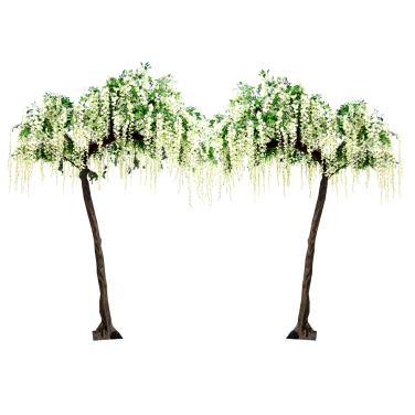 Floor Standing Pair of Wisteria Trees Canopy