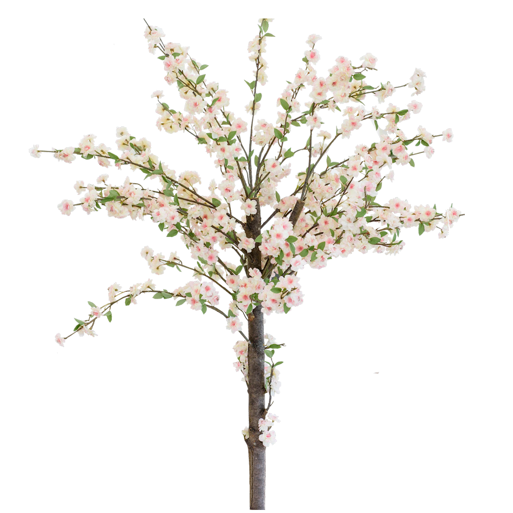 Blossom Tree Centrepiece