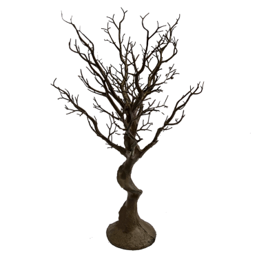 Brown Manzanita Tree