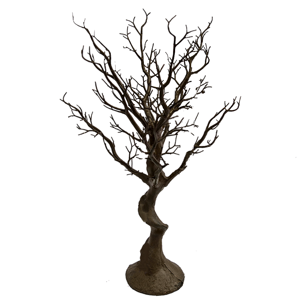 Brown Manzanita Tree