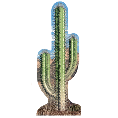 Cactus Cardboard Cut Out
