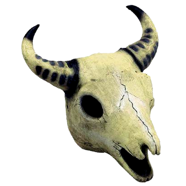 Replica Cow Skull Prop