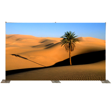 Desert Sandhills with Palm Tree Backdrop