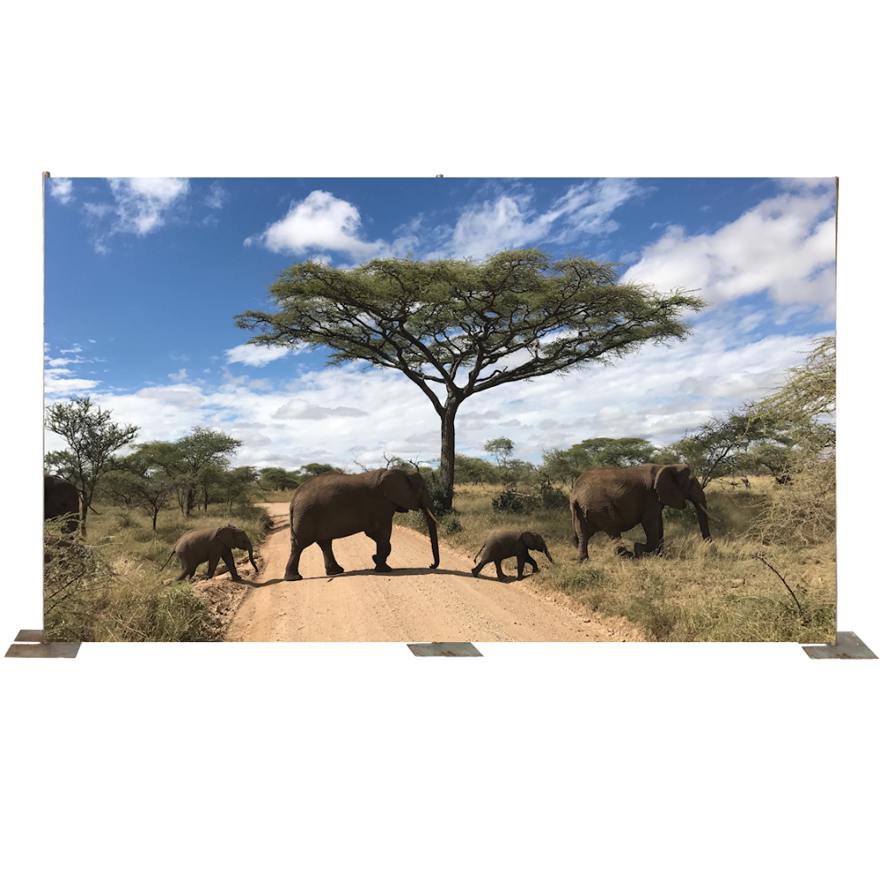 Elephants Crossing A Desert Track Backdrop