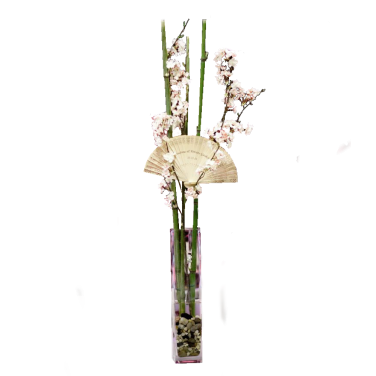 Fan Bamboo Cherry Blossom Centrepiece