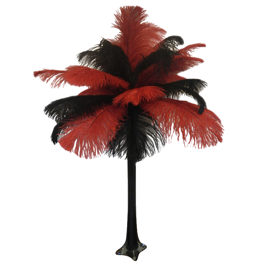 Coloured Feather Centrepiece Red & Black