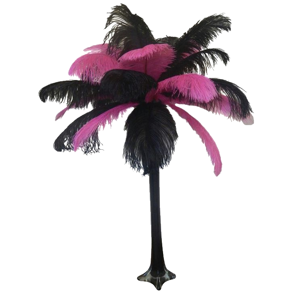 Coloured Feather Centrepiece Black & Cerise