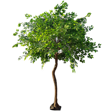 Floor standing green tree